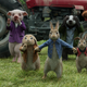 Illustration for article titled iPeter Rabbit /isequel to terrorize more well-meaning gardeners in 2020em/em